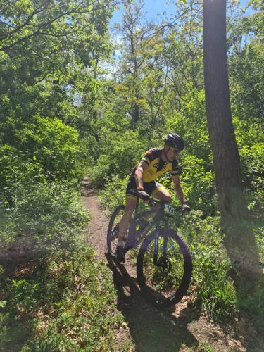 Mountainbike im Mörbisch
