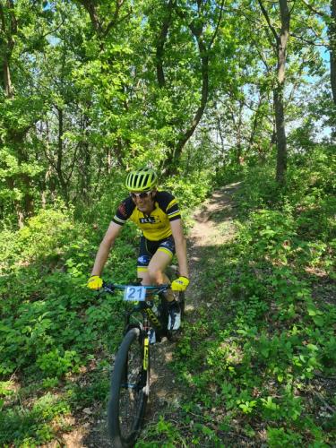 Mountainbike im Mörbisch