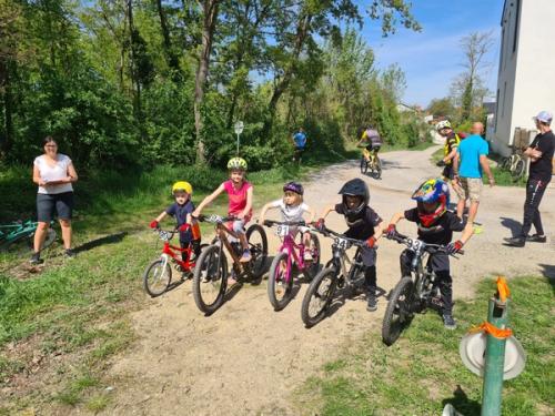 Mountainbike im Mörbisch