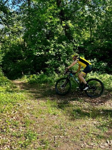 Mountainbike im Mörbisch