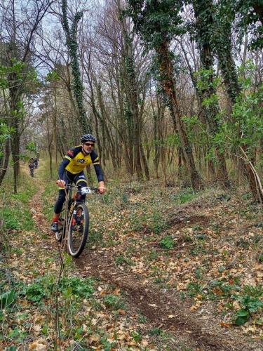 Mountainbike im Maiball