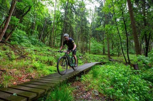 Mouflon Tracks 2024, 24.-26.5 - Polen