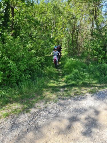Mountainbike im Mörbisch