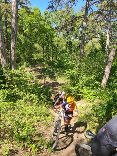 Mountainbike im Mörbisch