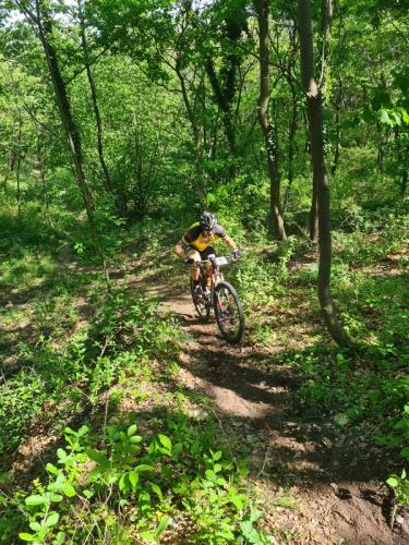 Mountainbike im Mörbisch
