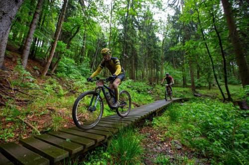 Mouflon Tracks 2024, 24.-26.5 - Polen