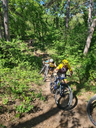 Mountainbike im Mörbisch