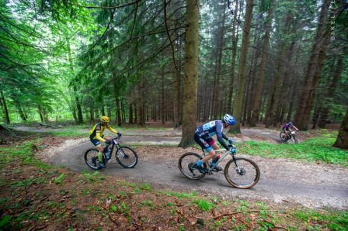 Mouflon Tracks 2024, 24.-26.5 - Polen