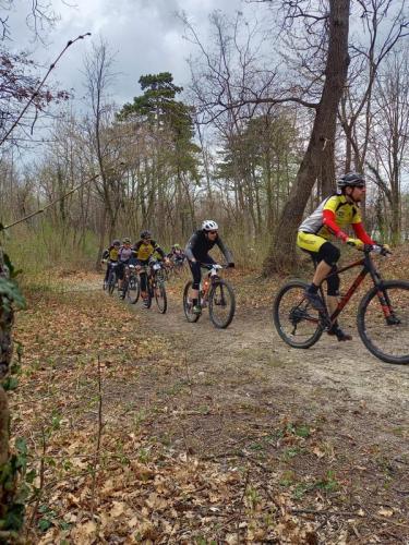 Mountainbike im Maiball