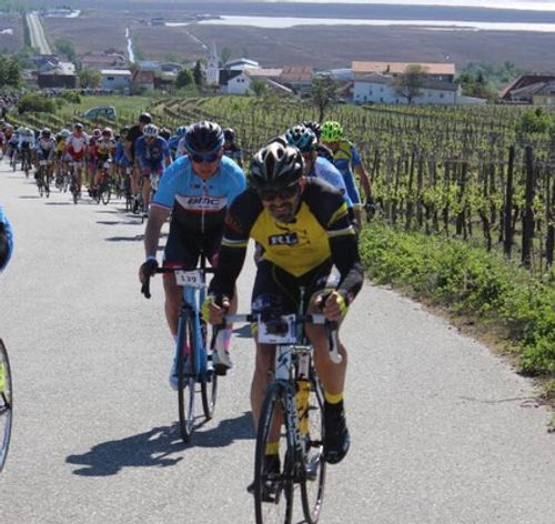 Mörbischer Lauf- und Radtage    27. - 28. 4.2019