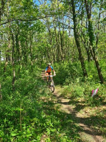 Mountainbike im Mörbisch