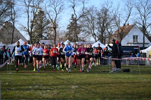 Österreichische Meisterschaft und Staatsmeisterschaft im Crosslauf