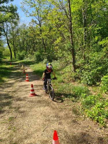 Mountainbike im Mörbisch
