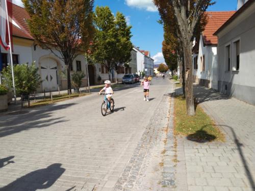 Rote Nasenlauf 2023