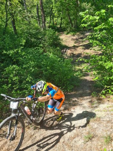 Mountainbike im Mörbisch
