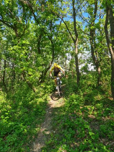 Mountainbike im Mörbisch