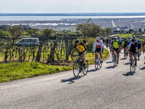 Neusiedlersee Radmarathon