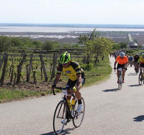 Mörbischer Lauf- und Radtage    27. - 28. 4.2019