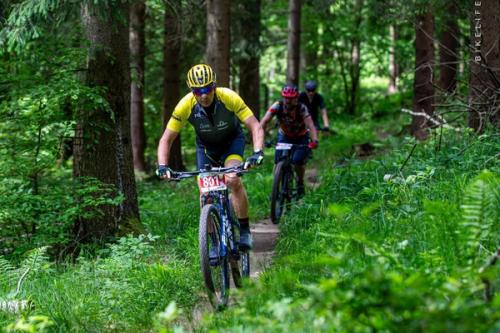 Mouflon Tracks 2024, 24.-26.5 - Polen