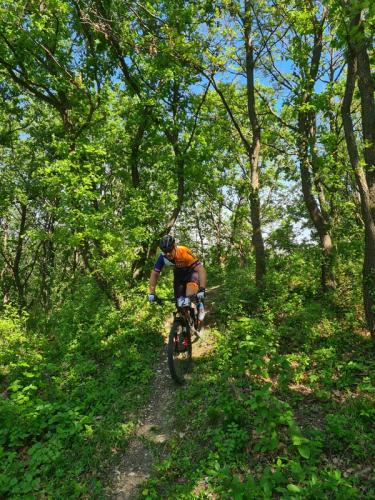 Mountainbike im Mörbisch