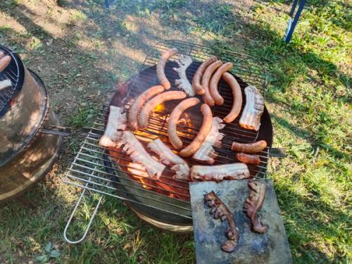 Clubausfahrt mit Grillen