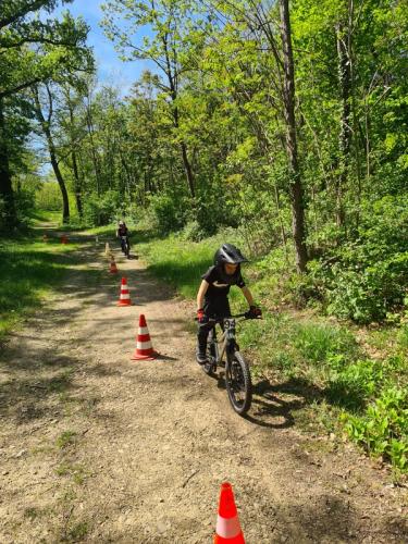 Mountainbike im Mörbisch