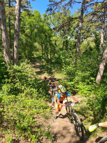 Mountainbike im Mörbisch