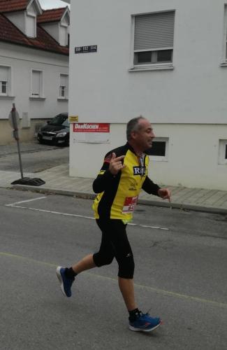 Rote Nasenlauf in Mörbisch