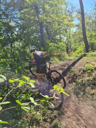 Mountainbike im Mörbisch
