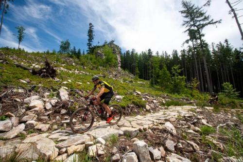 Mouflon Tracks 2024, 24.-26.5 - Polen