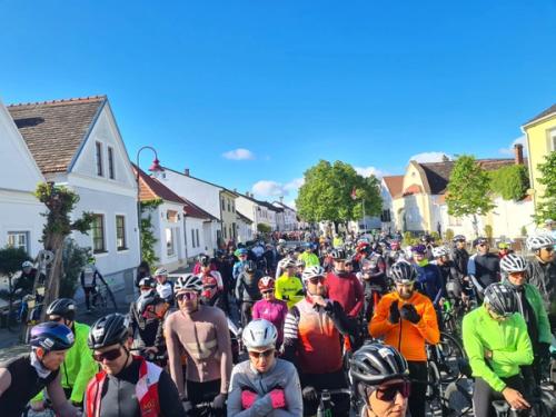 Mountainbike im Mörbisch