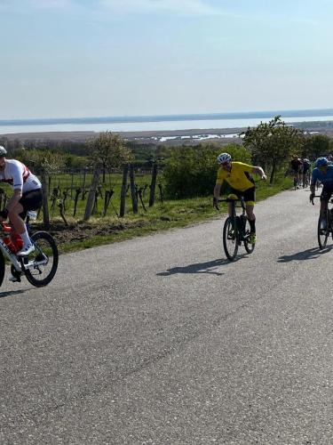 Neusiedlersee Radmarathon