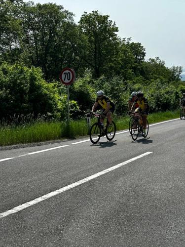 Leithaberg Radmarathon