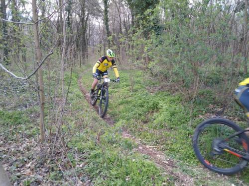 Mountainbike 2023