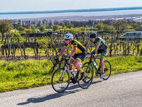 Neusiedlersee Radmarathon