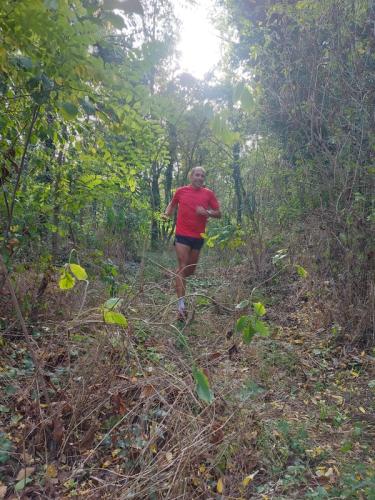 Crosslauf 2023