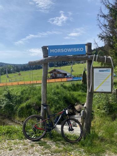 Mouflon Tracks 2024, 24.-26.5 - Polen