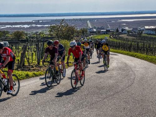 Neusiedlersee Radmarathon