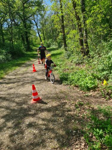 Mountainbike im Mörbisch