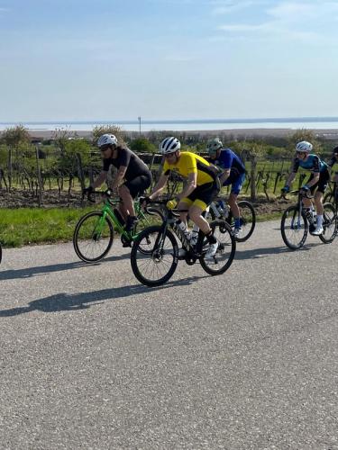 Neusiedlersee Radmarathon