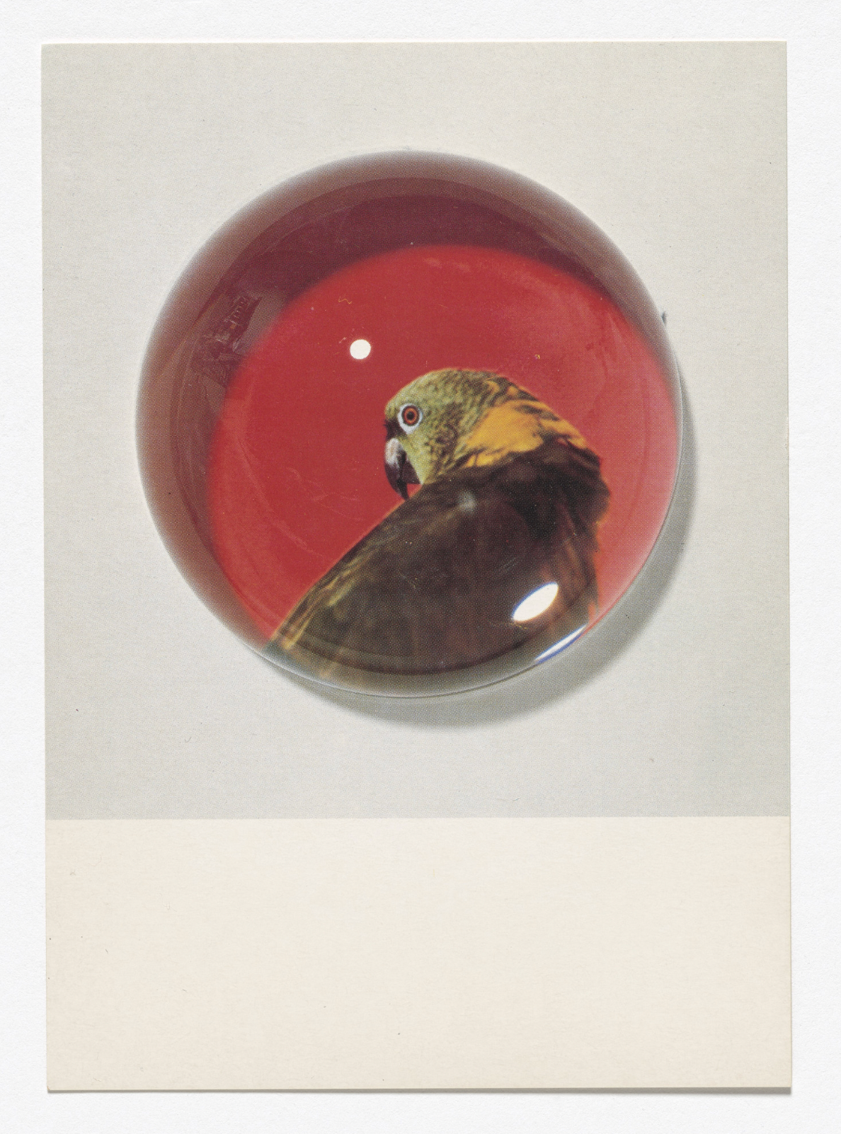 Louise Lawler, Postcards for Paperweights, Postcards, Pictures, Cannibalism, Centre d'Art Contemporain, Geneva, January 20–February 27