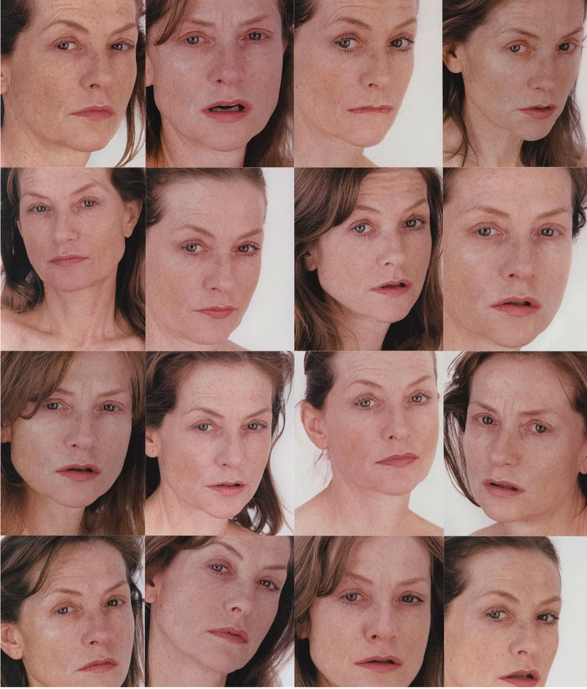 Roni Horn, Portrait of an Image