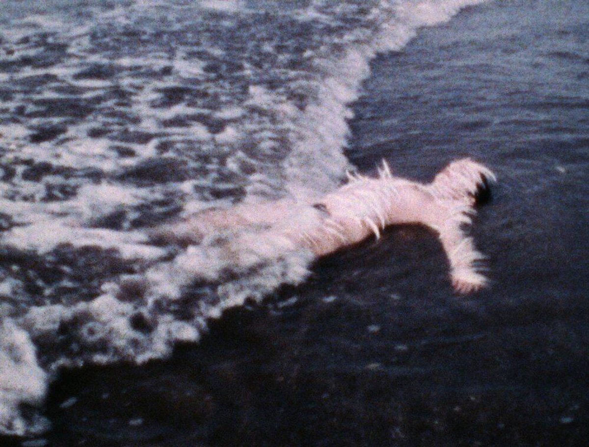 Ana Mendieta, Ocean Bird (Washup)