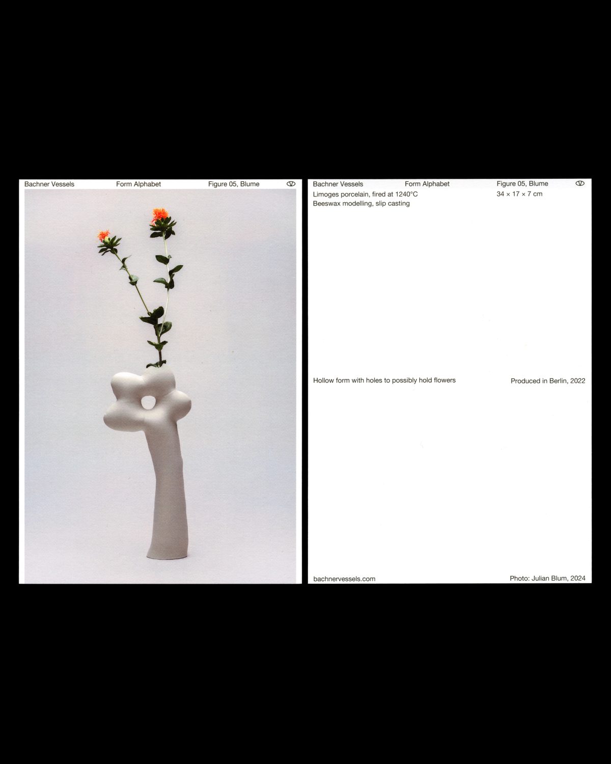 Bachner Vessels