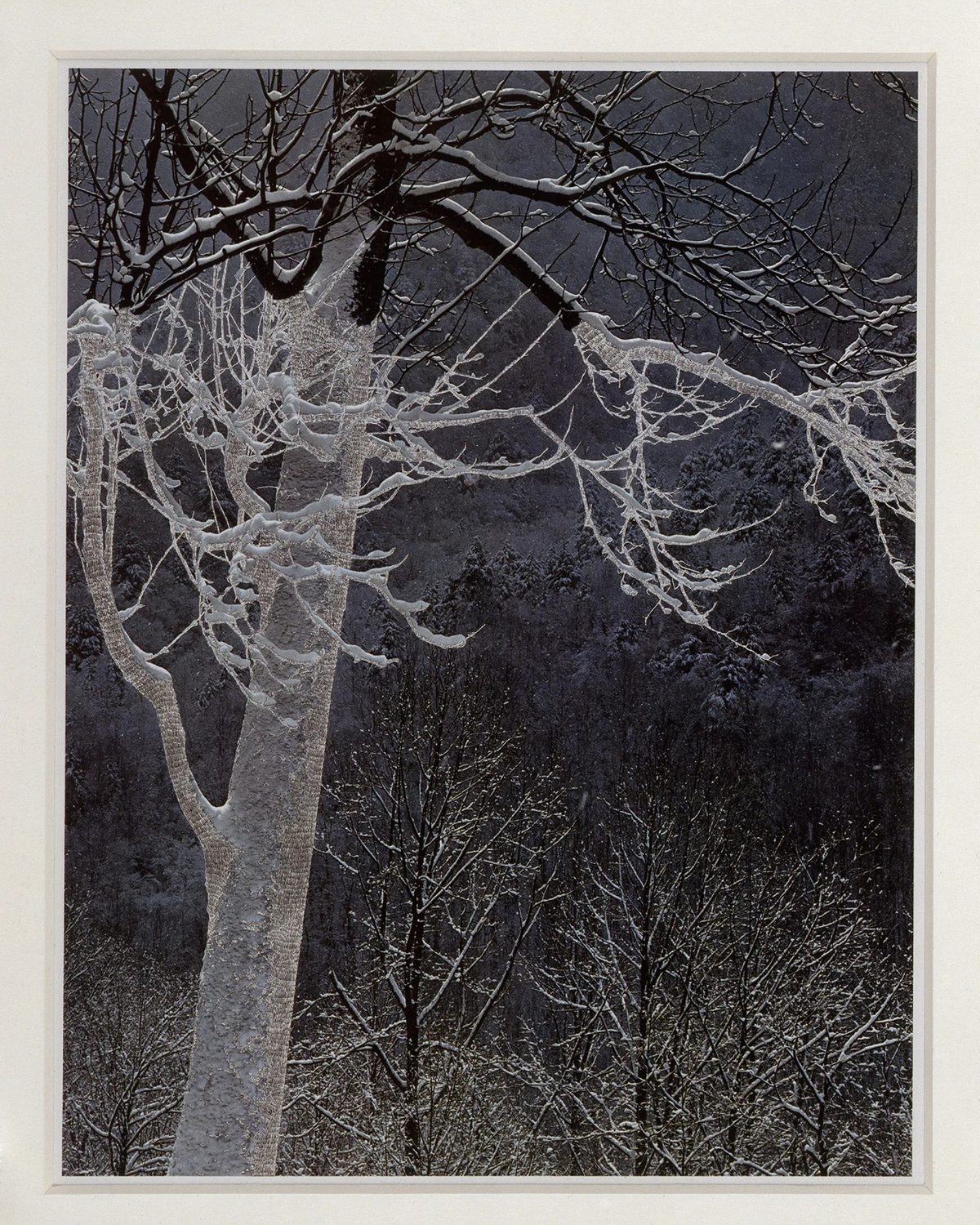 Jonathan Callan, Other Snow