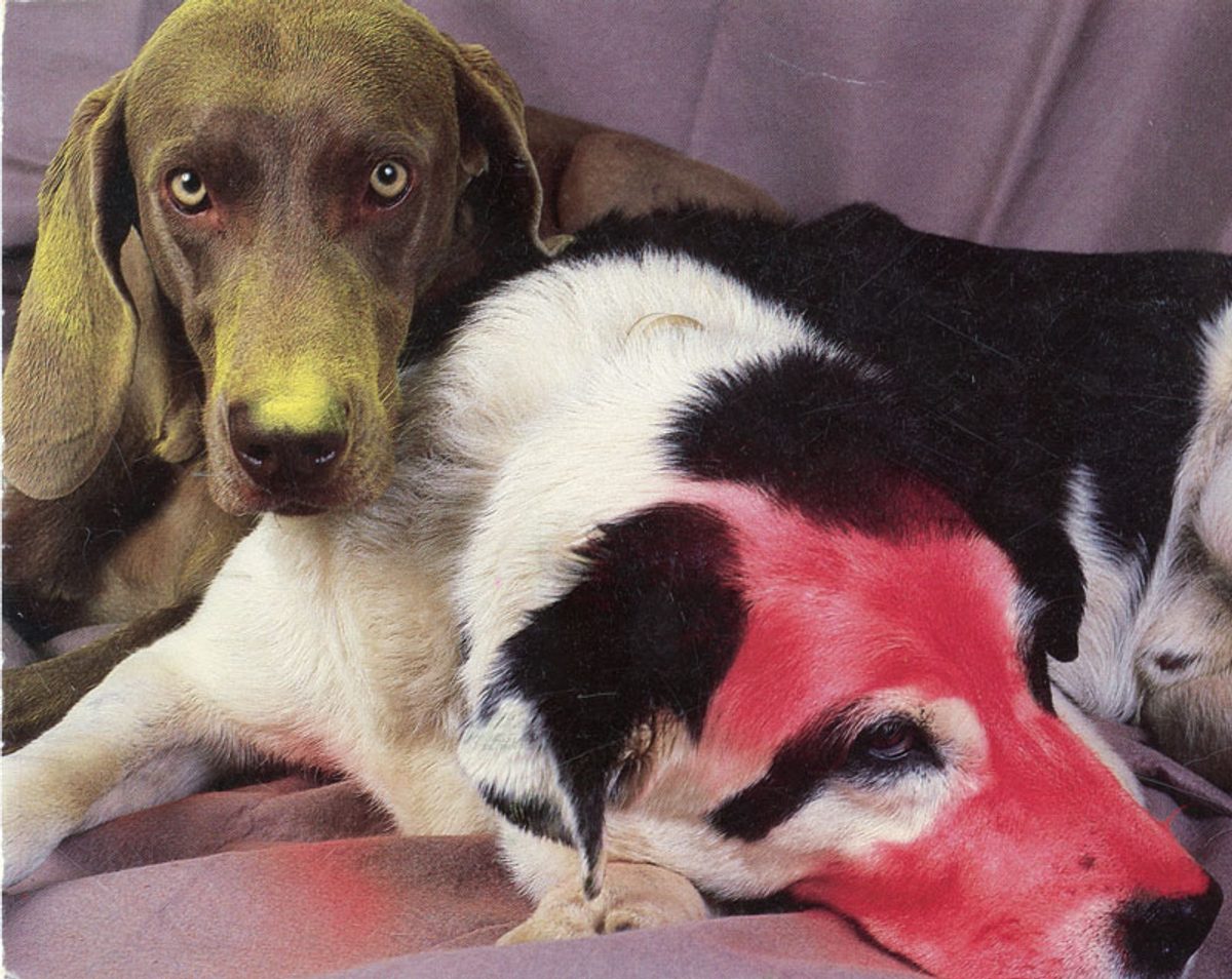 William Wegman, Fay and Charlie