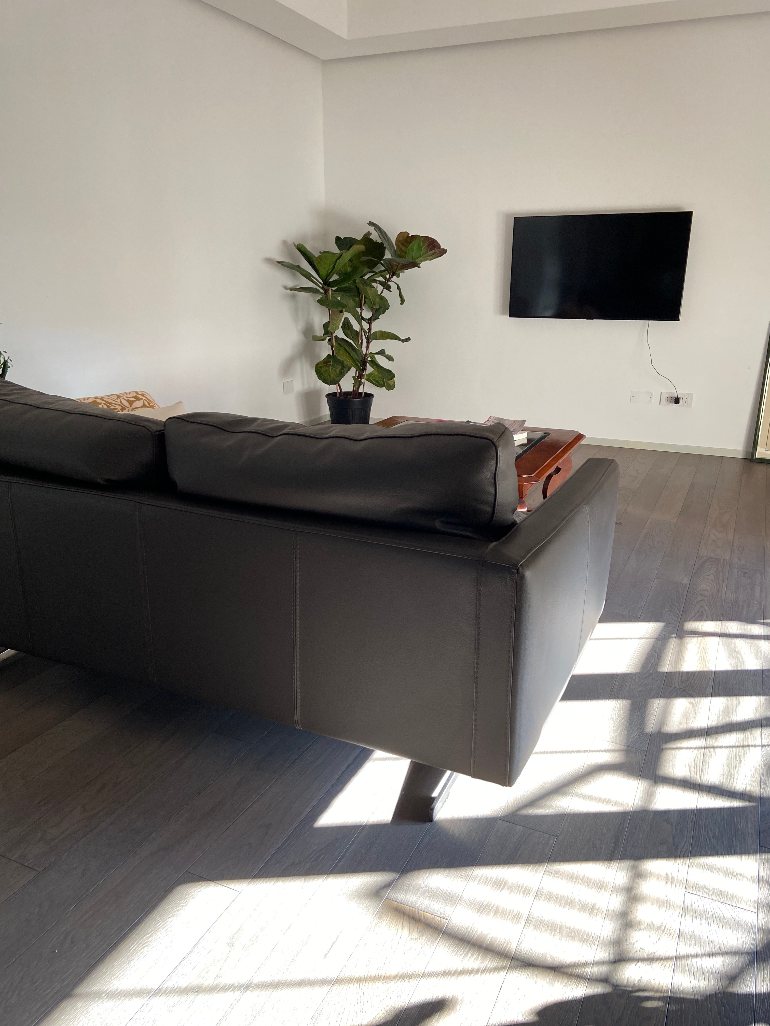 Divano e pianta su un parquet di Quercia Piallato Rustik Cement linea Luxury di Cabbia