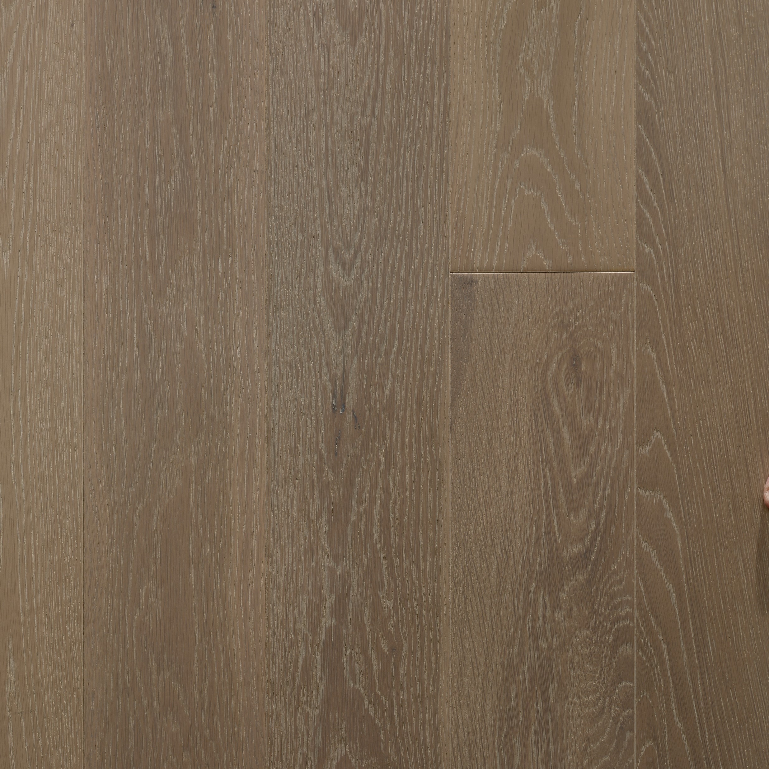 Particolare di un asse di parquet in Rovere Sandstone di Cabbia