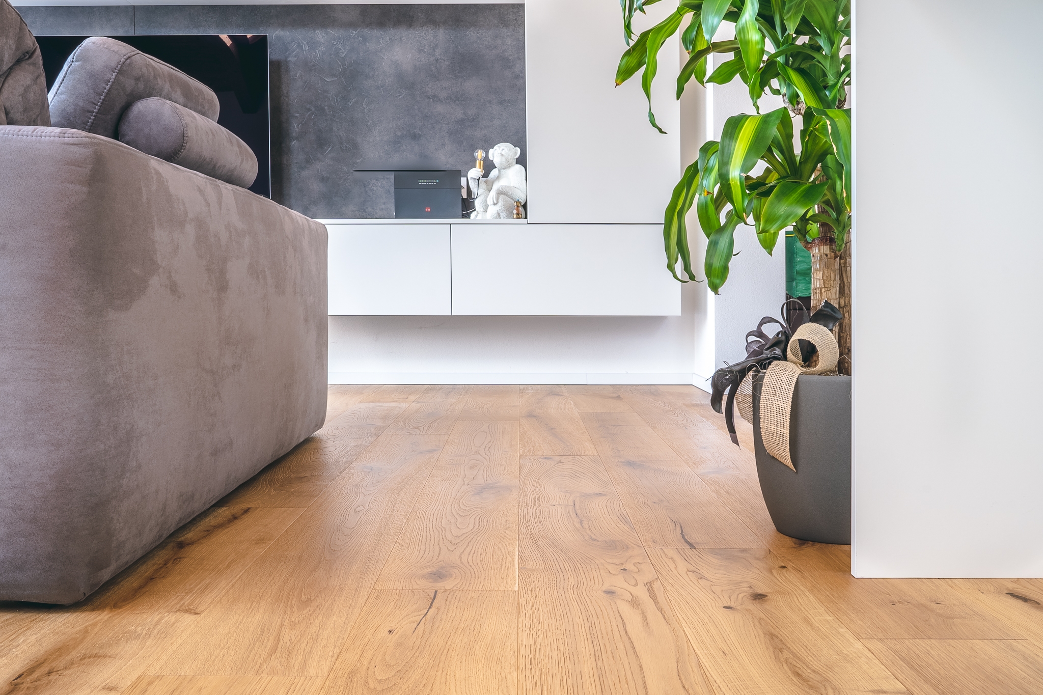 Un divano e una pianta su un parquet in Rovere Natural Country House di Cabbia