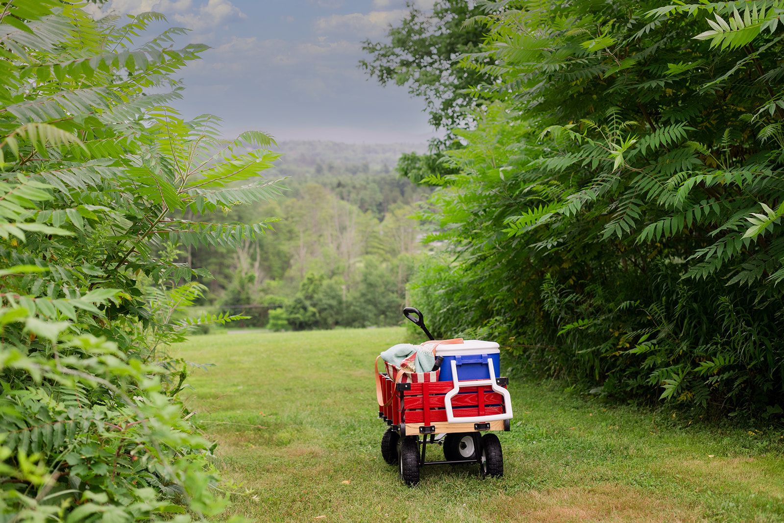 Walking to Tanglewood